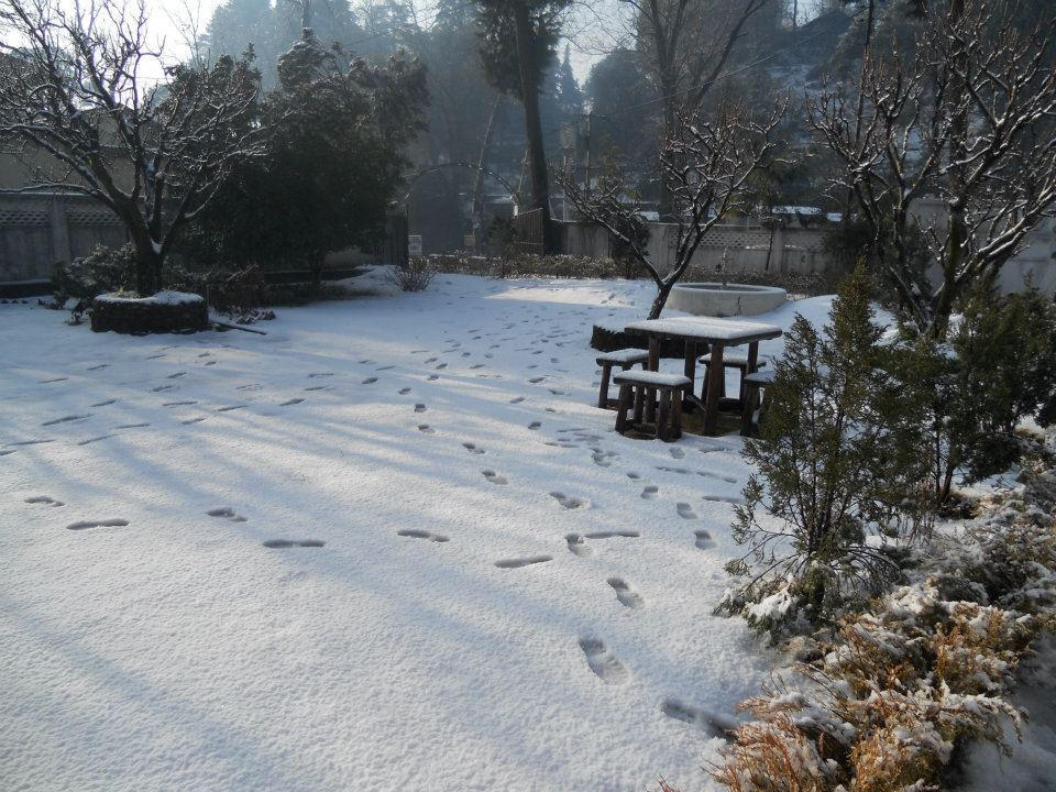 Rewa Retreat 3* Nainital